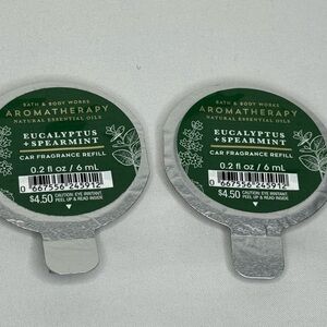 Bath & Body Works Eucalyptus Spearmint Car Fragrance Refill - Green and Silver